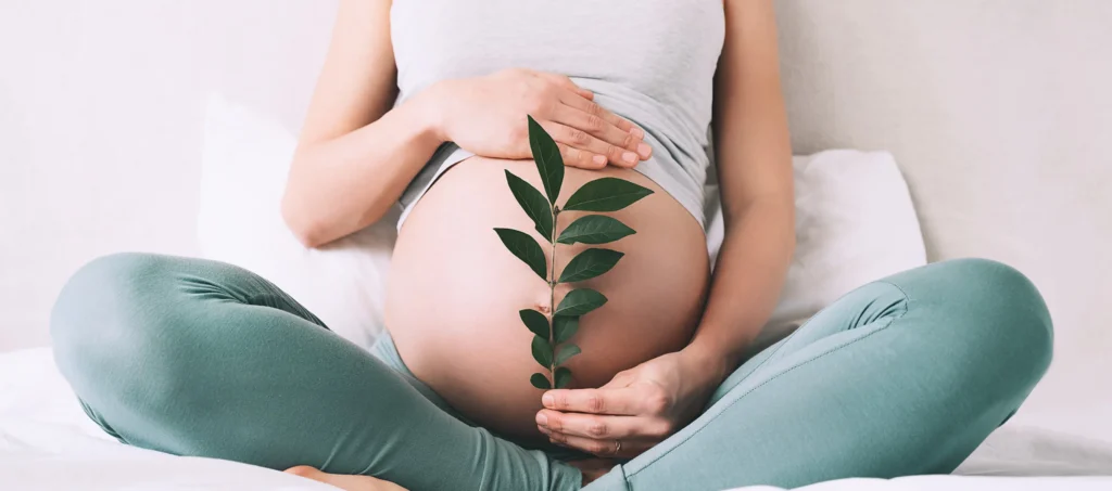 Schwangere Frau mit grünem Zweig vor dem Babybauch – erhöhter Eisenbedarf in der Schwangerschaft